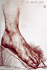 foot_web.GIF