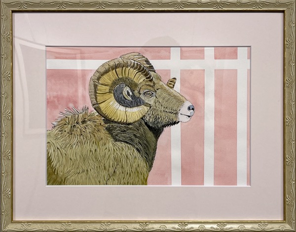 Y.Aさん「ムフロン」	ペン水彩