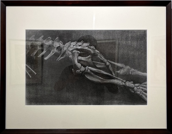 Seicoさん「アザラシ	」木炭、パステル